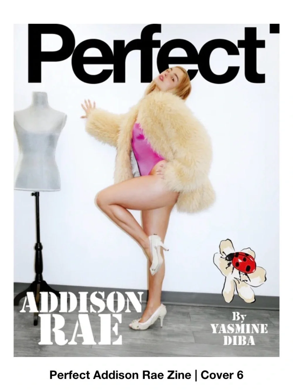perfect magazine not sale